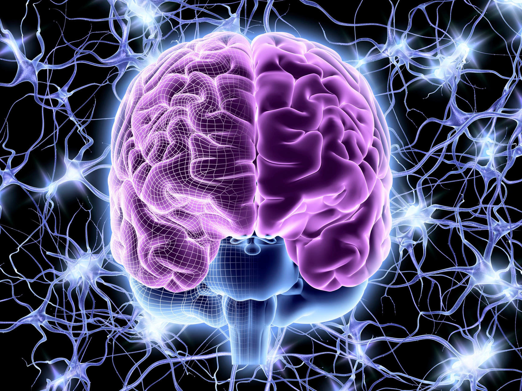 Computer artwork of a frontal view of a human brain. In the background a neural network of nerve cells firing.